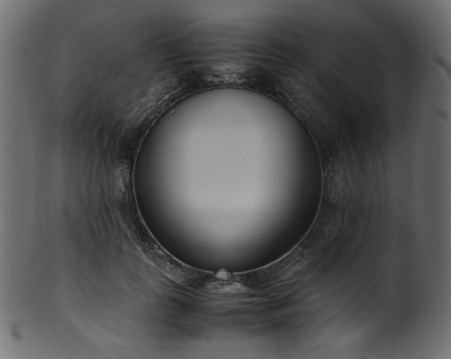 X0000101990747200807181147