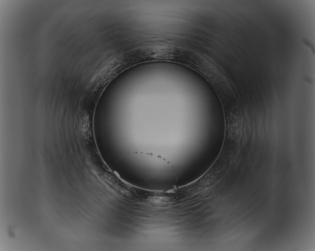 X0000101990748200807181147