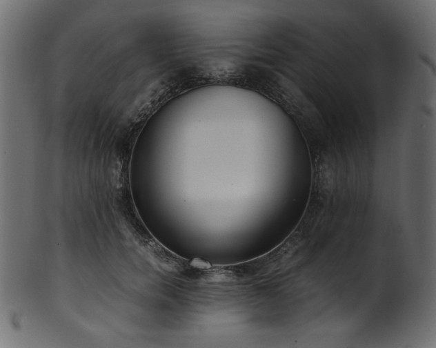 X0000101990750200807181147