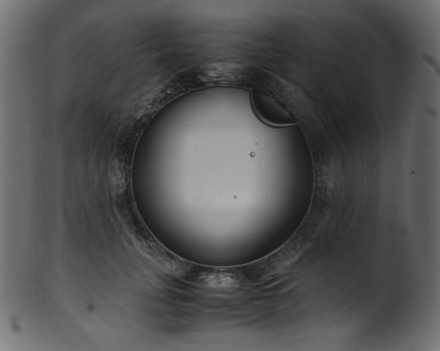X0000101990751200807181147