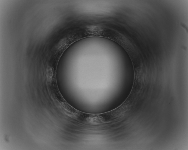 X0000101990752200807181147