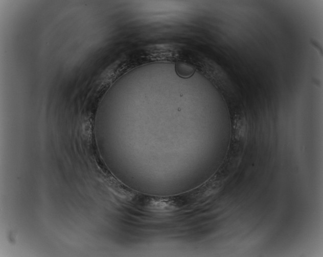 X0000101990753200807181147