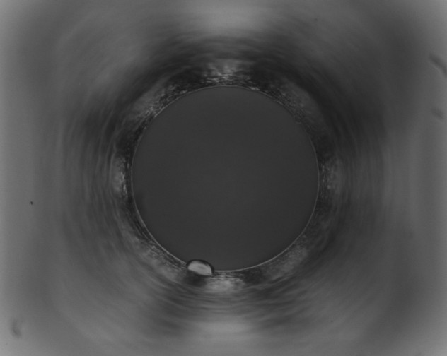 X0000101990754200807181147