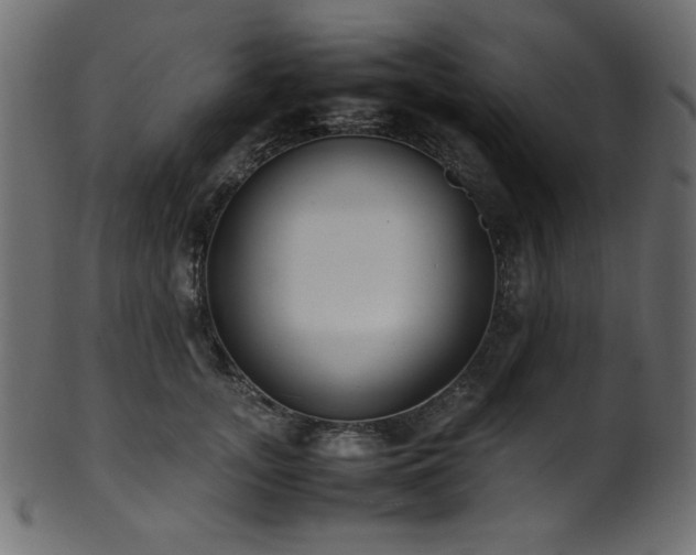 X0000101990755200807181147