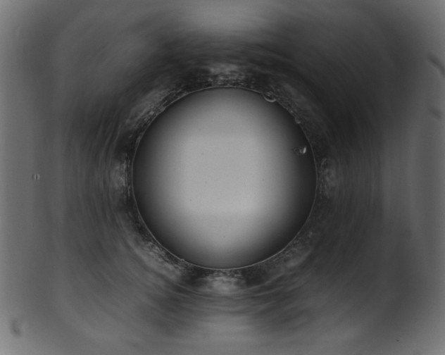 X0000101990756200807181147