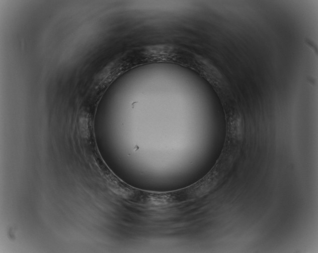 X0000101990757200807181147