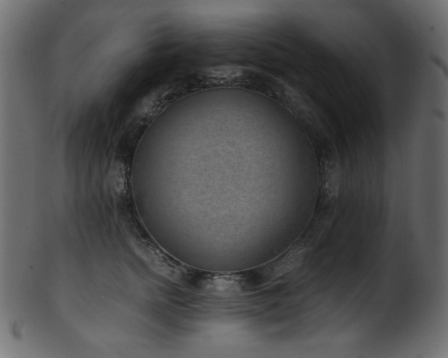 X0000101990758200807181147