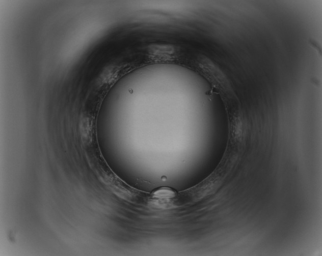 X0000101990759200807181148