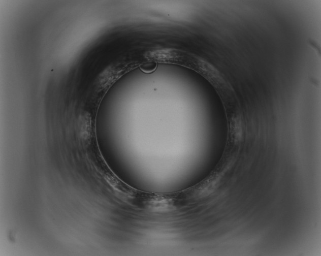 X0000101990760200807181148