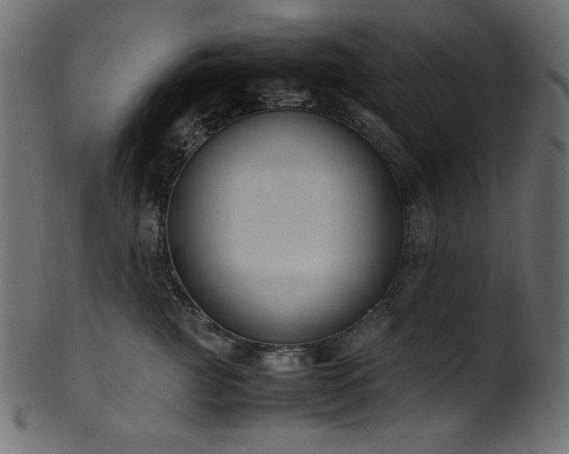 X0000101990761200807181148