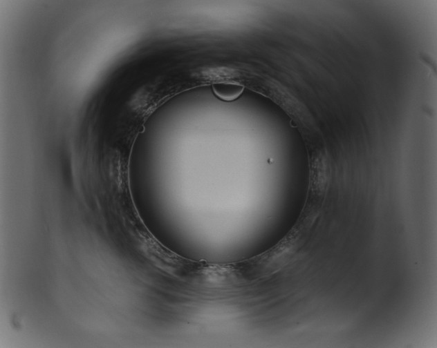 X0000101990762200807181148