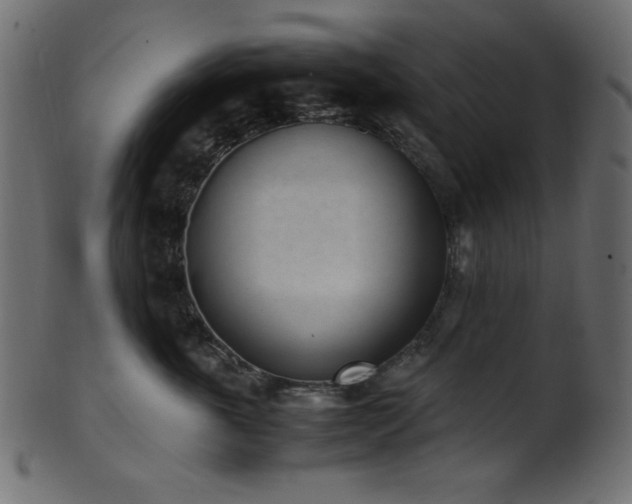 X0000101990763200807181148