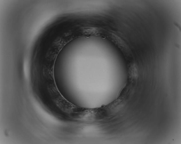 X0000101990764200807181148