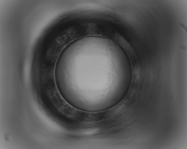X0000101990765200807181148