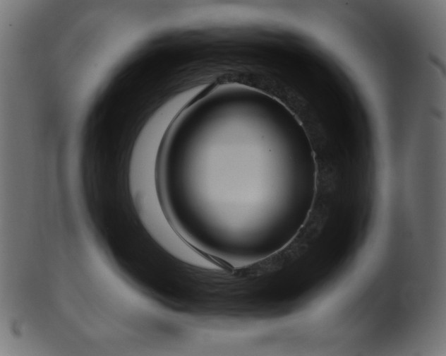 X0000101990766200807181148
