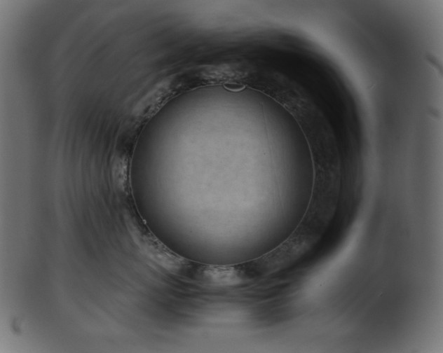 X0000101990767200807181148