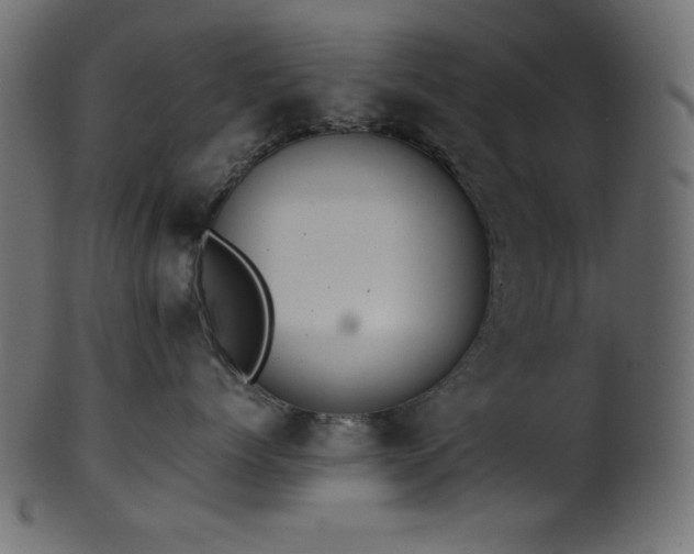 X0000101990768200807181148