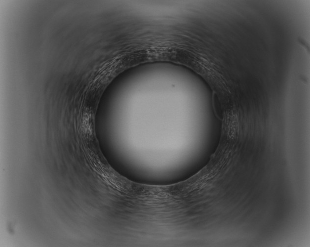 X0000101990770200807181147