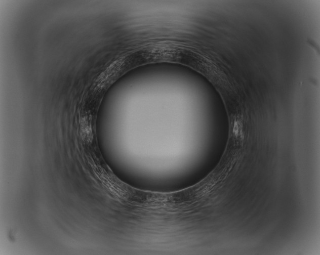 X0000101990771200807181147