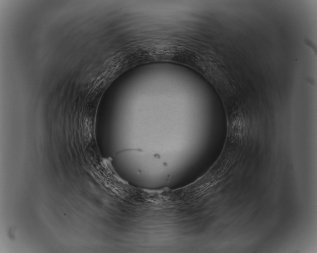 X0000101990772200807181147