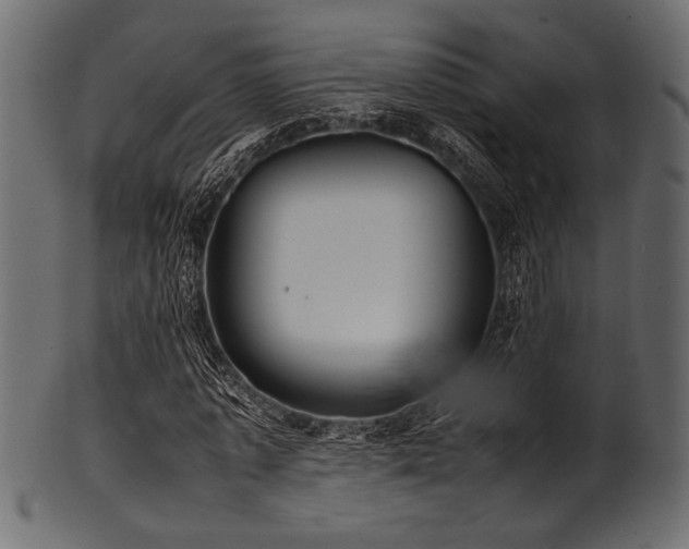 X0000101990773200807181147