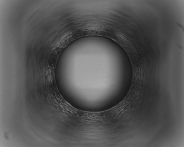 X0000101990774200807181147