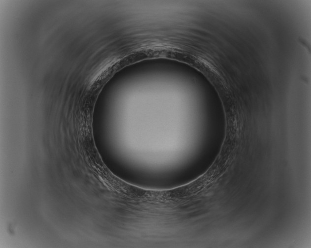 X0000101990775200807181147