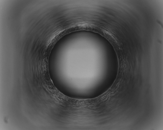X0000101990776200807181147