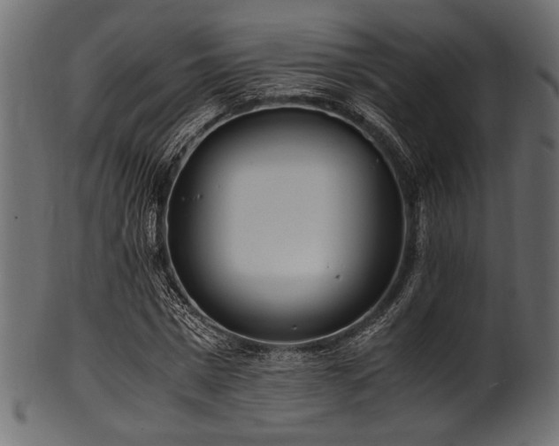 X0000101990777200807181147