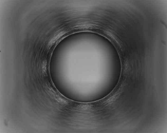 X0000101990778200807181147