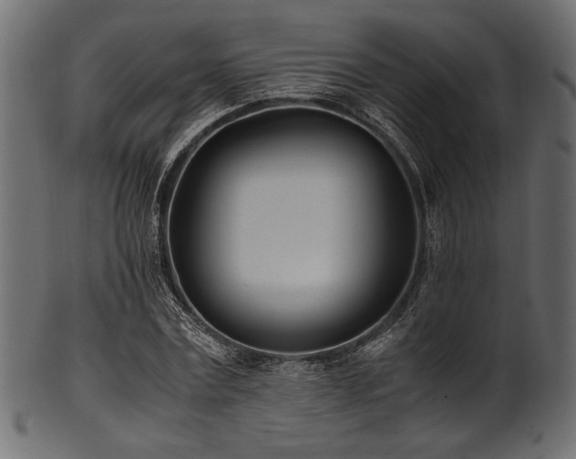 X0000101990779200807181147