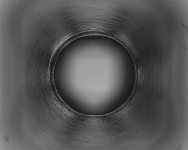 X0000101990780200807181147