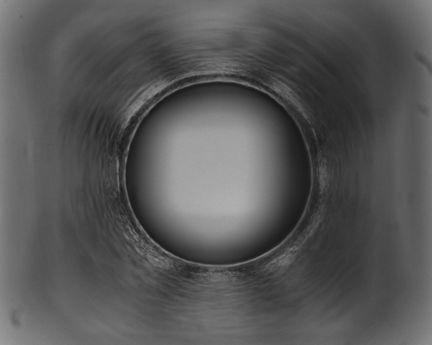 X0000101990781200807181147