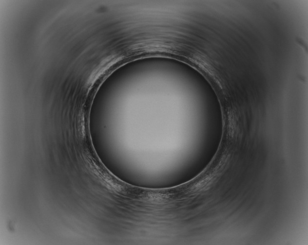 X0000101990782200807181147