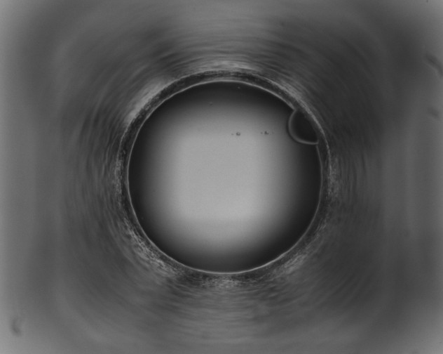 X0000101990783200807181147