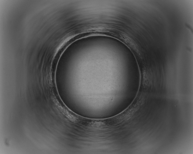 X0000101990784200807181147