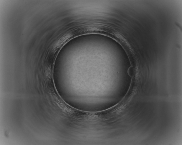 X0000101990785200807181147