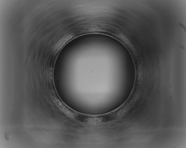 X0000101990793200807181146