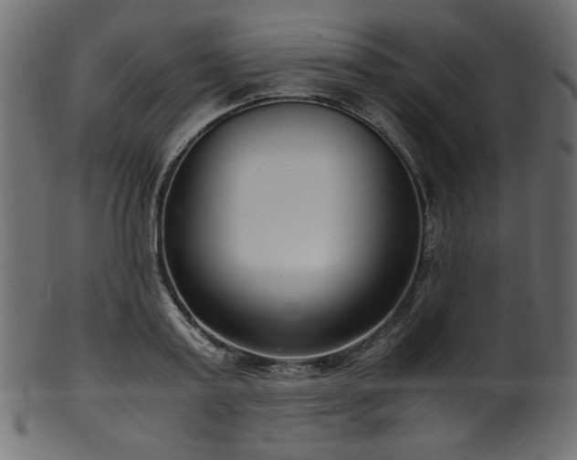 X0000101990795200807181146