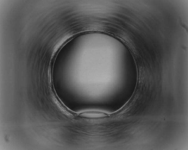 X0000101990796200807181146