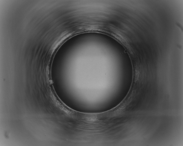 X0000101990798200807181146