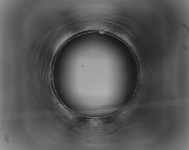 X0000101990799200807181146