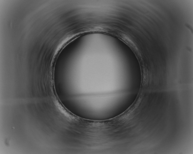 X0000101990800200807181146