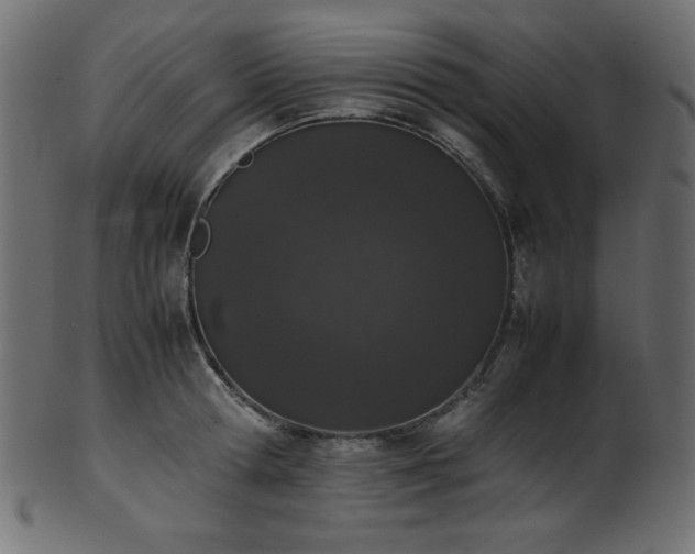 X0000101990802200807181146