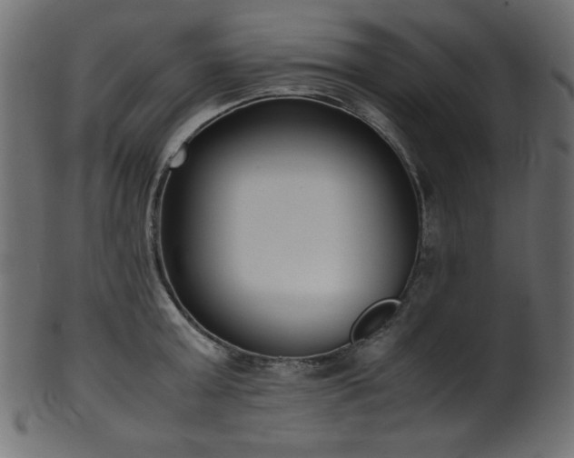 X0000101990803200807181146