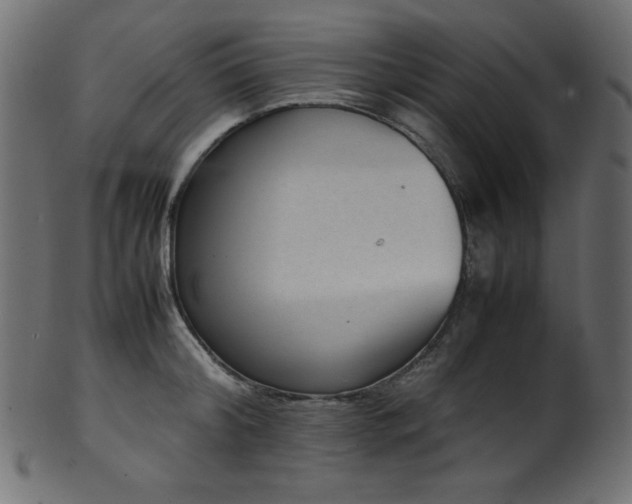X0000101990804200807181146