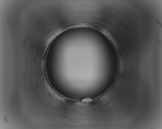 X0000101990805200807181146
