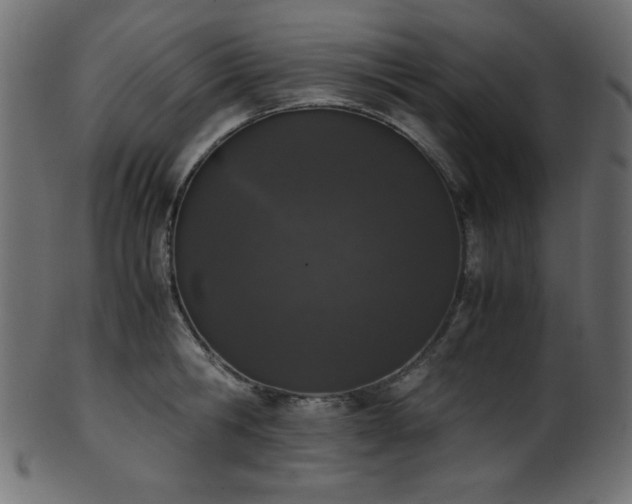 X0000101990806200807181146