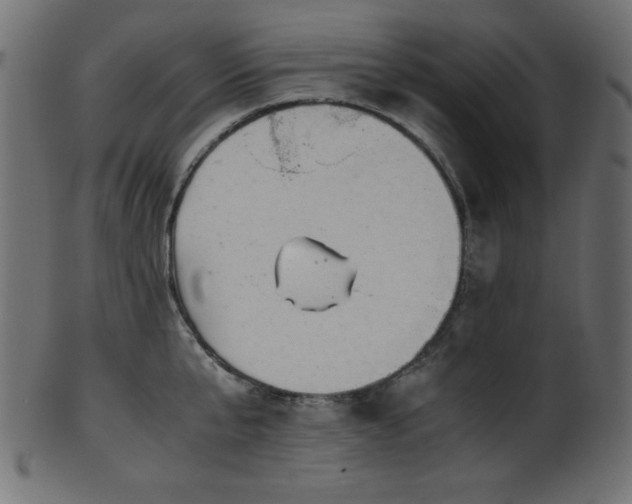 X0000101990807200807181146