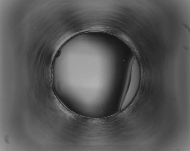 X0000101990808200807181146